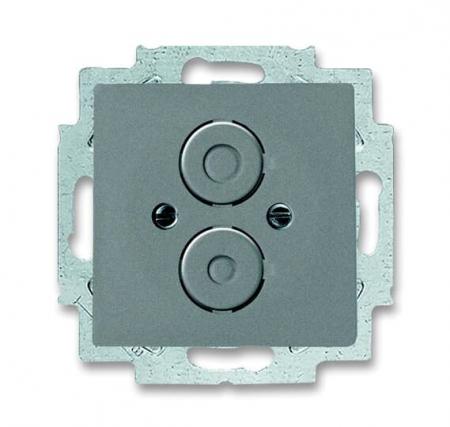 Busch-Jaeger 1750-803 Zentralscheibe mit Tragring