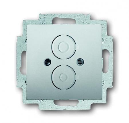 Busch-Jaeger 1750-866 Zentralscheibe mit Tragring