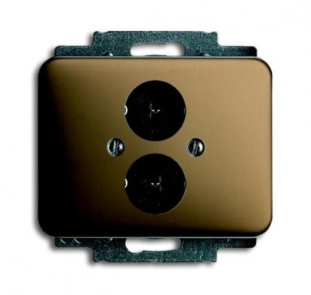 Busch-Jaeger 1751-21 Zentralscheibe mit Tragring