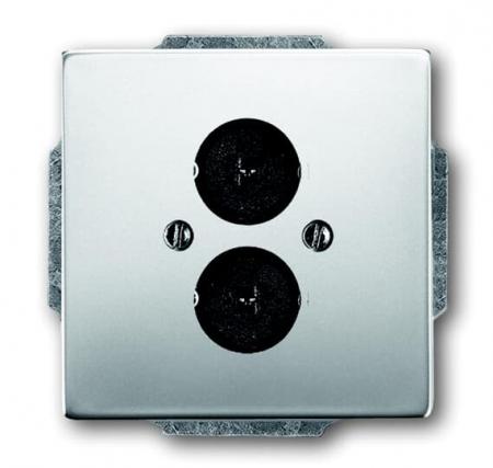 Busch-Jaeger 1751-866 Zentralscheibe mit Tragring