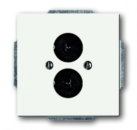 Busch-Jaeger 1751-884 Zentralscheibe mit Tragring