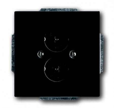 Busch-Jaeger 1751-885 Zentralscheibe mit Tragring