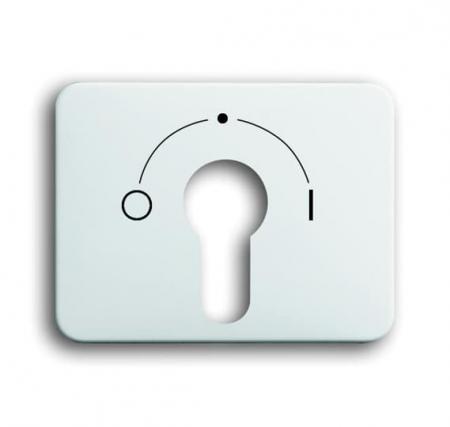 Busch-Jaeger 1755 SLPZ-24G-101 Zentralscheibe Für Schlüsselschalter