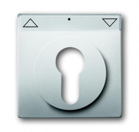 Busch-Jaeger 1755 SL/PZ-866-101 Zentralscheibe mit Beschriftungsfeld