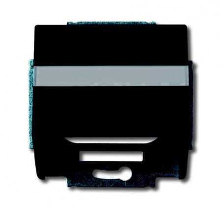 Busch-Jaeger 1758-81 Zentralscheibe mit Tragring