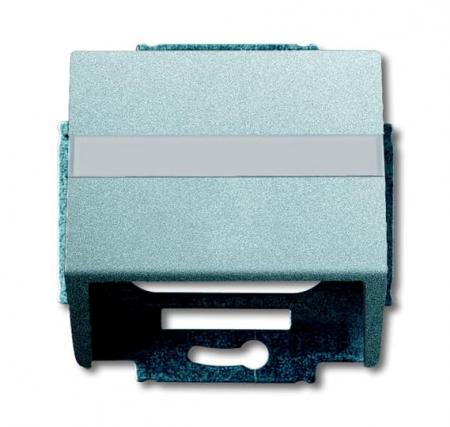 Busch-Jaeger 1758-83 Zentralscheibe mit Tragring