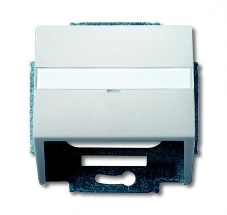 Busch-Jaeger 1758-866 Zentralscheibe mit Tragring