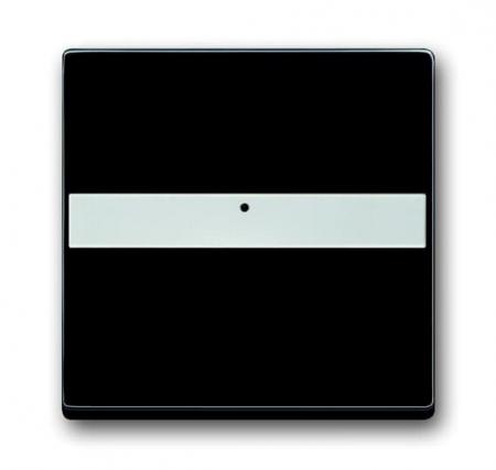 Busch-Jaeger 1764 NLI-885 Wippe mit Beschriftungsfeld