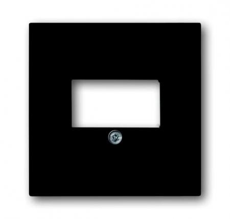 Busch-Jaeger 1766-885 Zentralscheibe