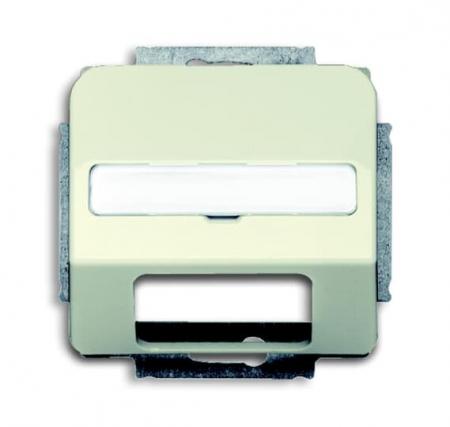 Busch-Jaeger 1769-212 Zentralscheibe mit Beschriftungsfeld