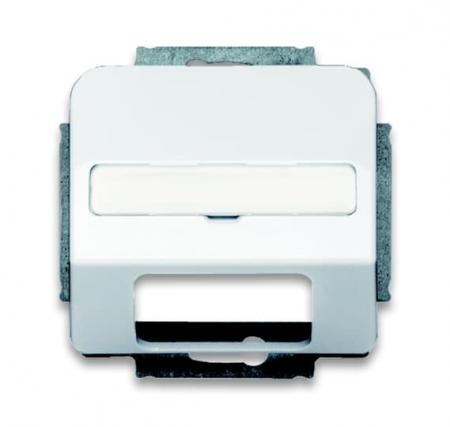 Busch-Jaeger 1769-24G Zentralscheibe mit Beschriftungsfeld