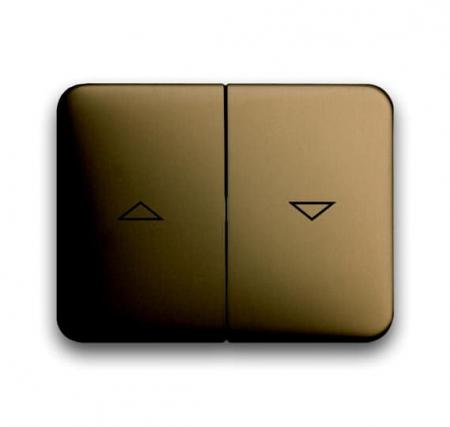 Busch-Jaeger 1785 JA-21 Wippe mit Aufdruck