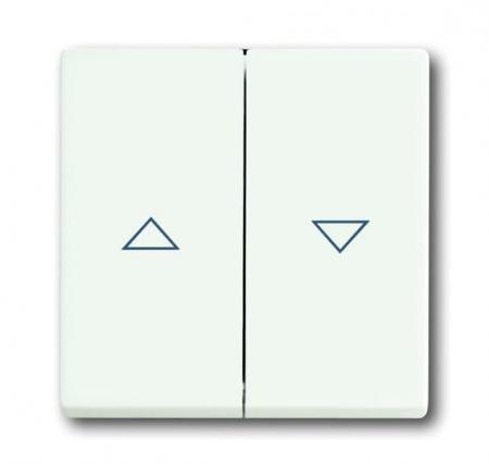 Busch-Jaeger 1785 JA-884 Wippe mit Aufdruck