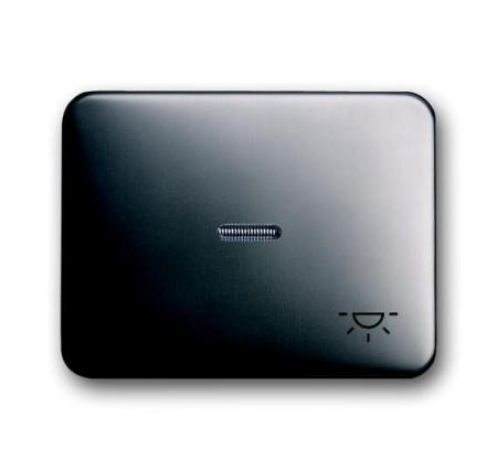 Busch-Jaeger 1789 LI-20 Wippe mit Aufdruck mit kleiner transparenter Kalotte