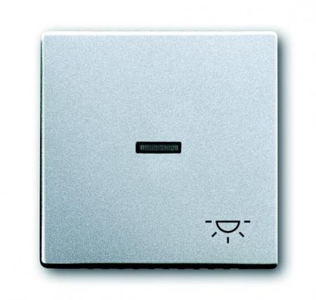 Busch-Jaeger 1789 LI-83 Wippe mit Aufdruck mit kleiner transparenter Kalotte