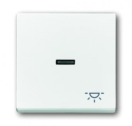 Busch-Jaeger 1789 LI-84 Wippe mit Aufdruck mit kleiner transparenter Kalotte