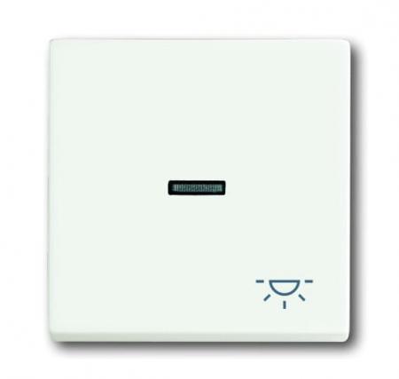 Busch-Jaeger 1789 LI-884 Wippe mit Aufdruck mit kleiner transparenter Kalotte