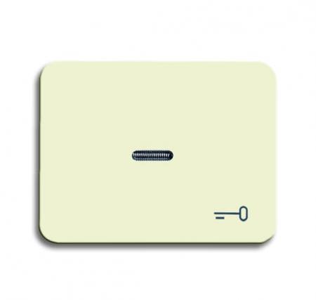 Busch-Jaeger 1789 TR-22G Wippe mit Aufdruck mit kleiner transparenter Kalotte