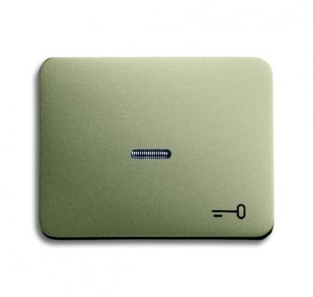 Busch-Jaeger 1789 TR-260 Wippe mit Aufdruck mit kleiner transparenter Kalotte