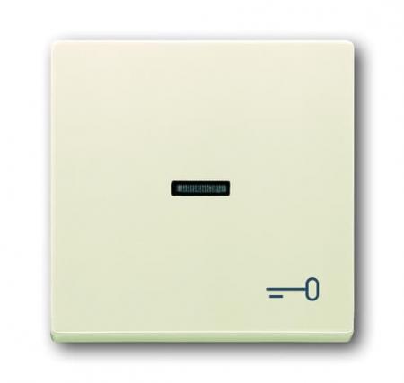 Busch-Jaeger 1789 TR-82 Wippe mit Aufdruck mit kleiner transparenter Kalotte