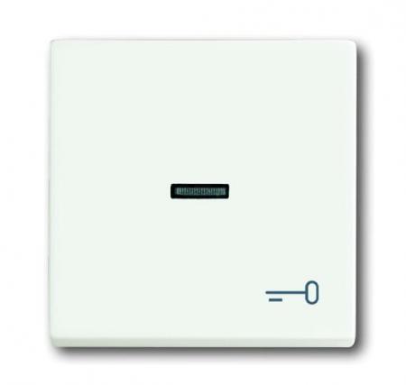 Busch-Jaeger 1789 TR-884 Wippe mit Aufdruck mit kleiner transparenter Kalotte