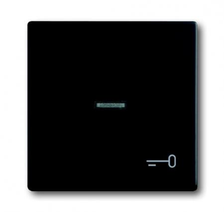 Busch-Jaeger 1789 TR-885 Wippe mit Aufdruck mit kleiner transparenter Kalotte