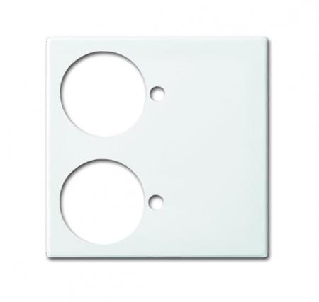 Busch-Jaeger 1790-592-914 Zentralscheibe