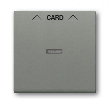 Busch-Jaeger 1792-803 Zentralscheibe