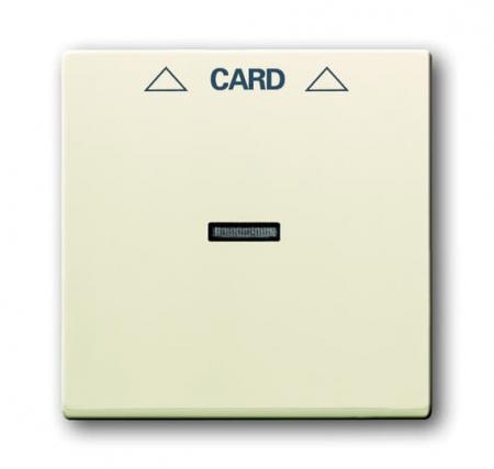 Busch-Jaeger 1792-82 Zentralscheibe