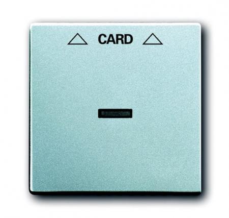 Busch-Jaeger 1792-83 Zentralscheibe