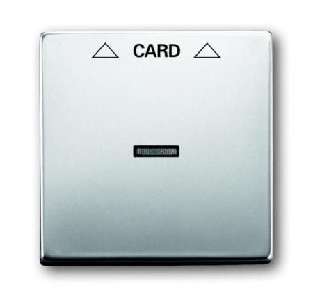 Busch-Jaeger 1792-866 Zentralscheibe