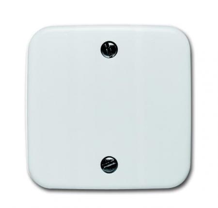 Busch-Jaeger 1796-214 Zentralscheibe für Zugschalter 2610/6 UC-xx 2610/6 UJ-xx