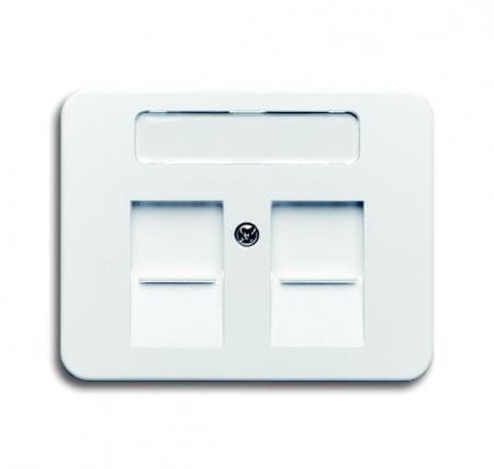 Busch-Jaeger 1800-24G Zentralscheibe mit Beschriftungsfeld