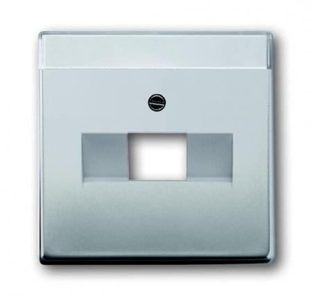 Busch-Jaeger 1803-866 Zentralscheibe