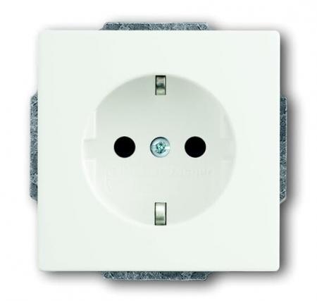 Busch-Jaeger 20 EUC-884 SCHUKO® Steckdosen-Einsatz