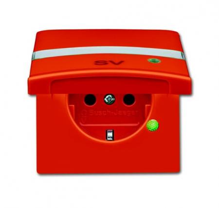 Busch-Jaeger 20 EUGKBLN-14-101 SCHUKO® Steckdosen-Einsatz mit Klappdeckel Beschriftungsfeld und LED Kontrolllicht