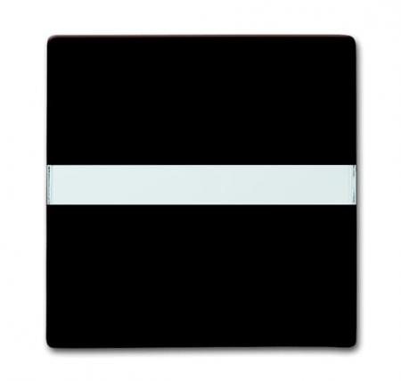 Busch-Jaeger 2106 N-31 Wippe mit Beschriftungsfeld