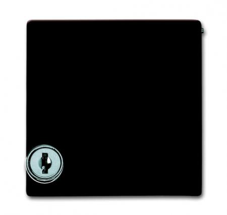 Busch-Jaeger 2118 GKSL-31 Zwischenring mit Klappdeckel abschließbar verschieden schließend