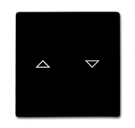 Busch-Jaeger 2126-31 Wippe mit Aufdruck