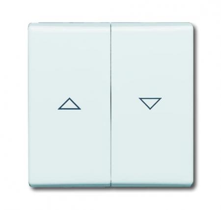 Busch-Jaeger 2126-32 Wippe mit Aufdruck