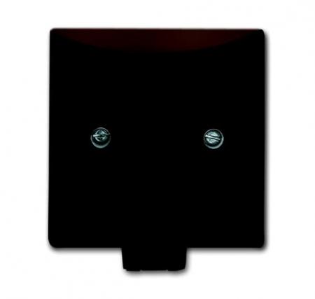 Busch-Jaeger 2133-31 Zentralscheibe mit Tragring