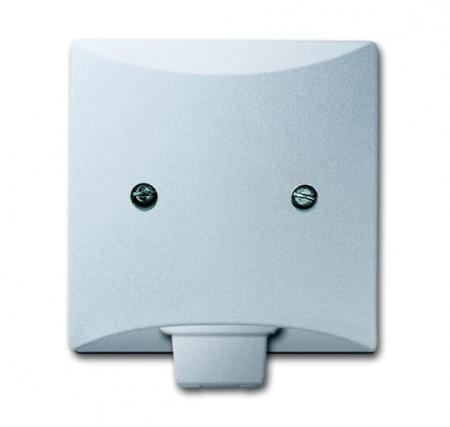 Busch-Jaeger 2133-33 Zentralscheibe mit Tragring