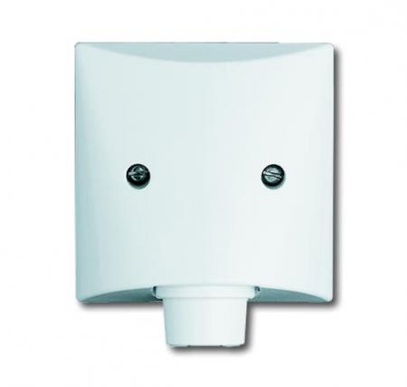 Busch-Jaeger 2133-34 Zentralscheibe mit Tragring