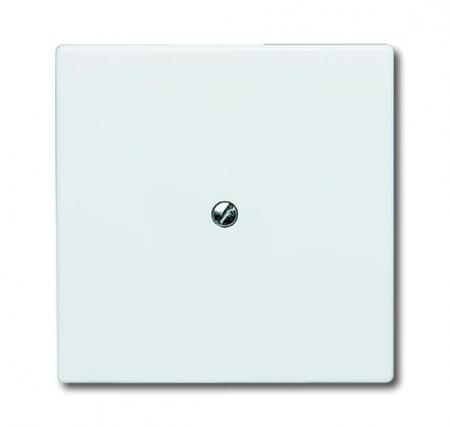 Busch-Jaeger 2138-34 Blindzentralscheibe mit Tragring