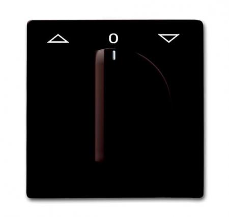 Busch-Jaeger 2142 DR-31 Zentralscheibe mit Drehgriff mit Aufdruck