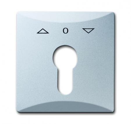 Busch-Jaeger 2155 PZ-33 Zentralscheibe mit Aufdruck