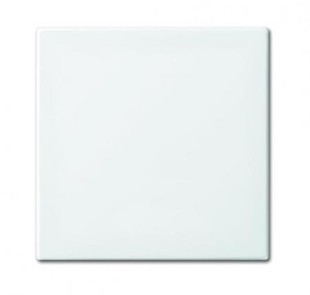 Busch-Jaeger 2506-914 Wippe geschlossen für Schaltereinsatz