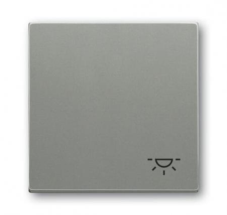 Busch-Jaeger 2520 LI-803 Wippe mit Aufdruck