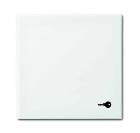 Busch-Jaeger 2520 TR-914 Wippe mit Aufdruck Mit Symbol "Schlüssel"