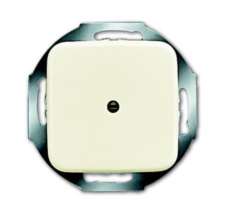 Busch-Jaeger 2527-212 Zentralscheibe Leitungsauslass mit Zugentlastung